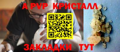 прущие грибы Обнинск