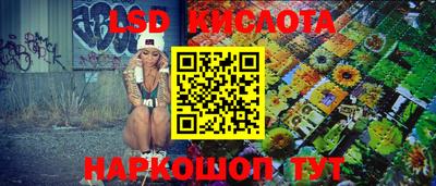 прущие грибы Обнинск