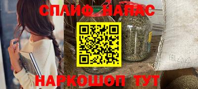 прущие грибы Обнинск