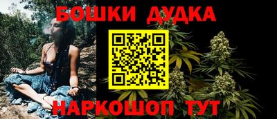 прущие крисы Обь