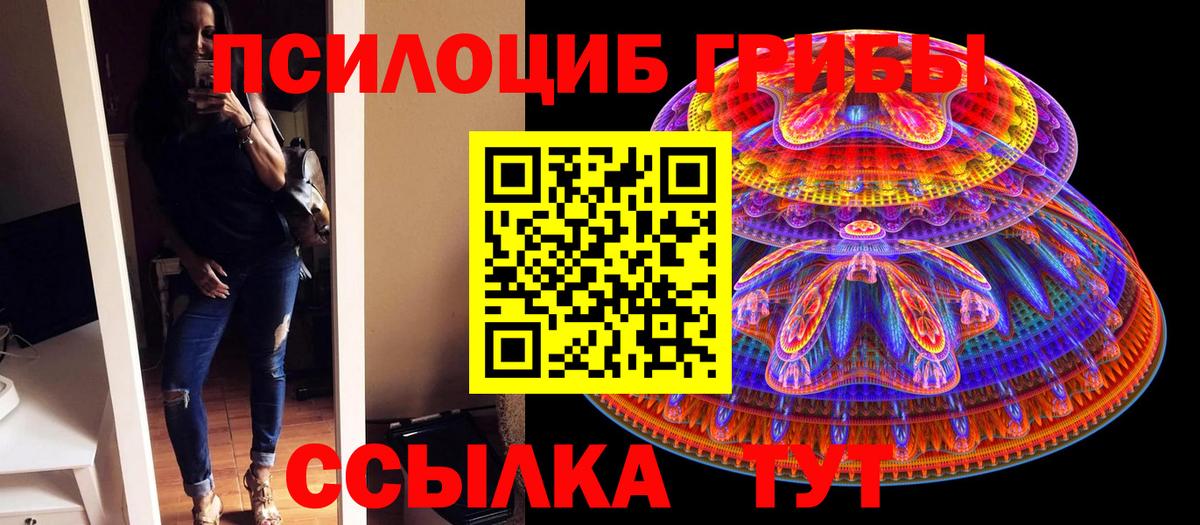 Псилоцибиновые грибы Cubensis  Вход с VPN  Сухой Лог  Псилоцибиновые грибы ЛСД 